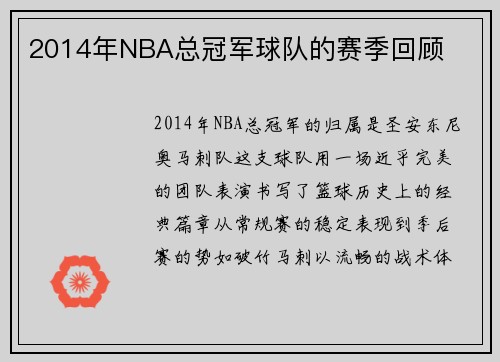 2014年NBA总冠军球队的赛季回顾