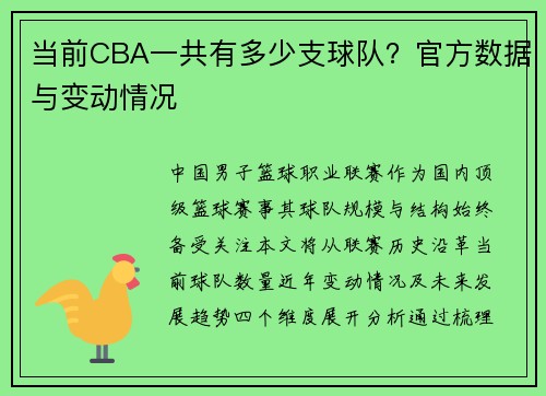 当前CBA一共有多少支球队？官方数据与变动情况