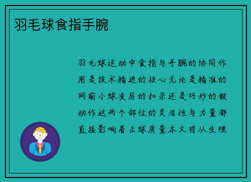 羽毛球食指手腕